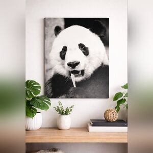 Panda Wildlife Photography Canvas Wall Art 24x18 Black & White Animal Print